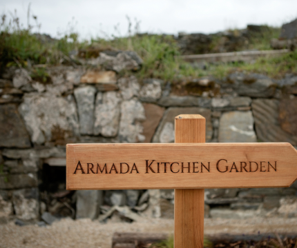 Untitled design(118)