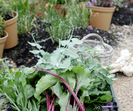 Untitled design(119)