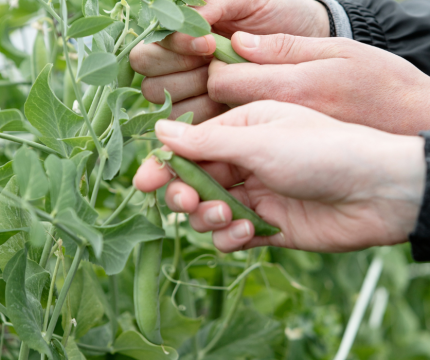 Untitled design(120)