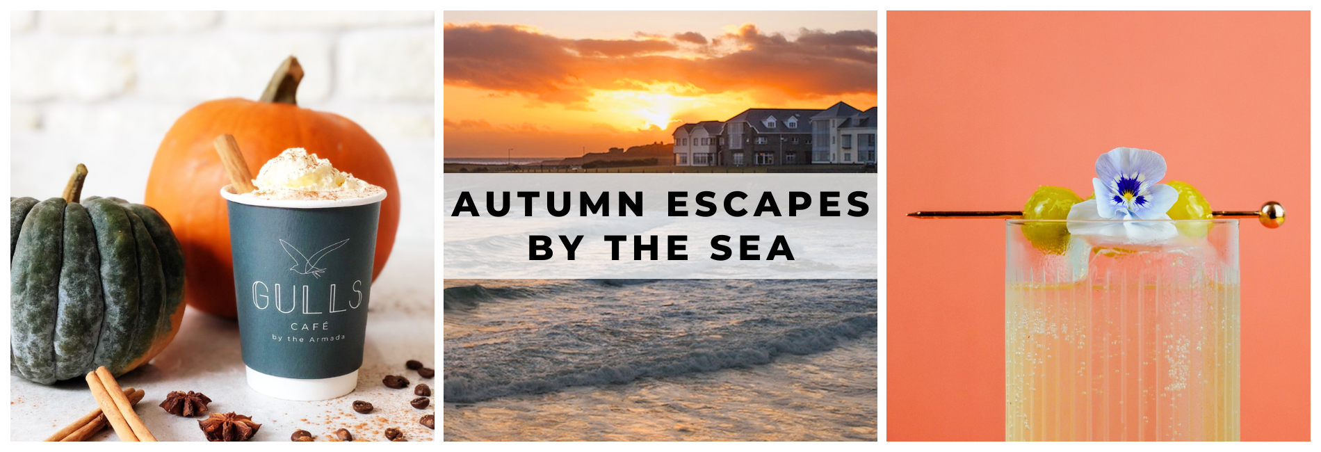Autumn banner xpx www.armadahotel.com_v2